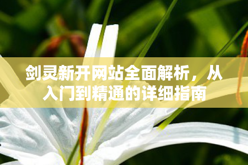 剑灵新开网站全面解析，从入门到精通的详细指南