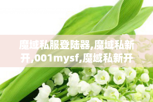 魔域私服登陆器,魔域私新开,001mysf,魔域私新开
