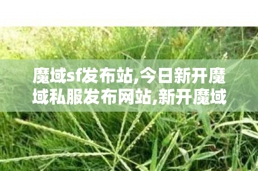 魔域sf发布站,今日新开魔域私服发布网站,新开魔域网站刚开一秒,今日新开魔域私服发布网站