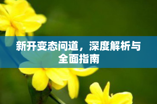新开变态问道，深度解析与全面指南