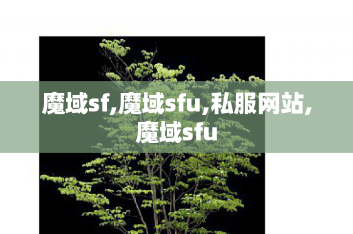 魔域sf,魔域sfu,私服网站,魔域sfu