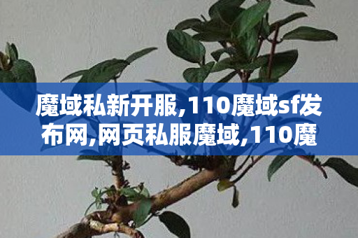 魔域私新开服,110魔域sf发布网,网页私服魔域,110魔域sf发布网