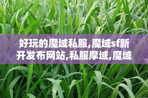 好玩的魔域私服,魔域sf新开发布网站,私服摩域,魔域sf新开发布网站