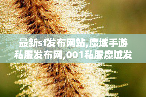 最新sf发布网站,魔域手游私服发布网,001私服魔域发布网,魔域手游私服发布网