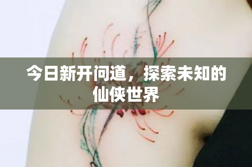 今日新开问道，探索未知的仙侠世界