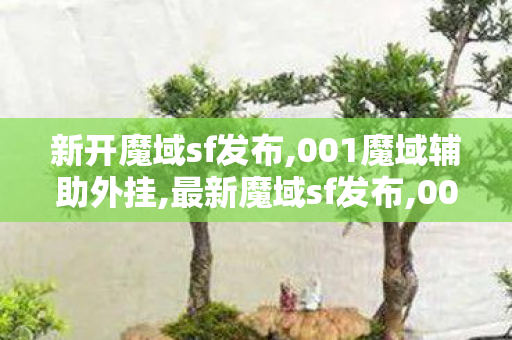 新开魔域sf发布,001魔域辅助外挂,最新魔域sf发布,001魔域辅助外挂