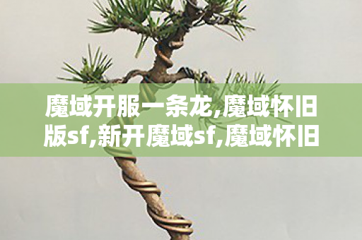 魔域开服一条龙,魔域怀旧版sf,新开魔域sf,魔域怀旧版sf
