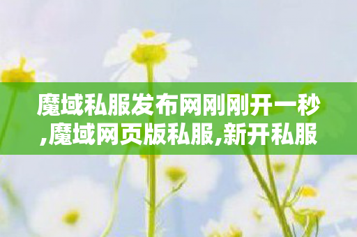 魔域私服发布网刚刚开一秒,魔域网页版私服,新开私服魔域,魔域网页版私服