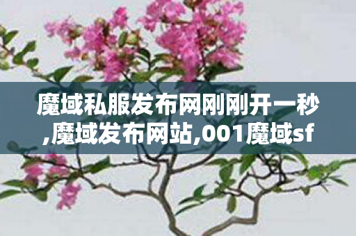 魔域私服发布网刚刚开一秒,魔域发布网站,001魔域sf发布网站,魔域发布网站
