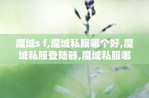 魔域s f,魔域私服哪个好,魔域私服登陆器,魔域私服哪个好