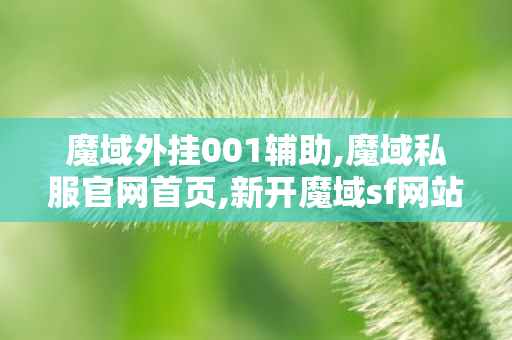 魔域外挂001辅助,魔域私服官网首页,新开魔域sf网站,魔域私服官网首页