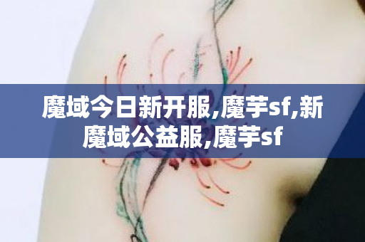 魔域今日新开服,魔芋sf,新魔域公益服,魔芋sf