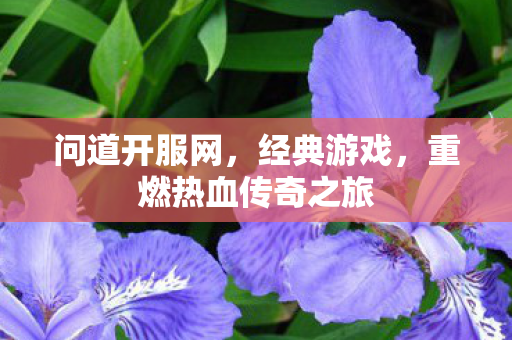 问道开服网，经典游戏，重燃热血传奇之旅