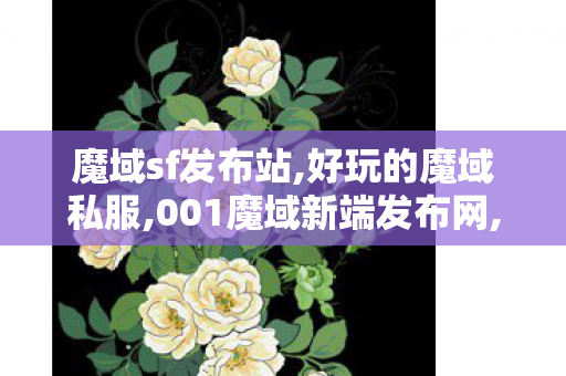 魔域sf发布站,好玩的魔域私服,001魔域新端发布网,好玩的魔域私服