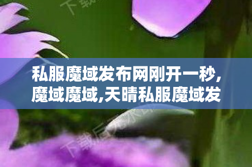 私服魔域发布网刚开一秒,魔域魔域,天晴私服魔域发布网,魔域魔域