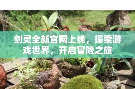 剑灵全新官网上线，探索游戏世界，开启冒险之旅