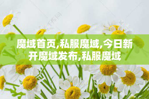 魔域首页,私服魔域,今日新开魔域发布,私服魔域