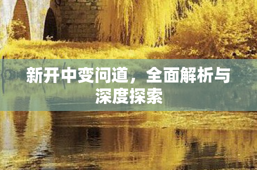 新开中变问道，全面解析与深度探索