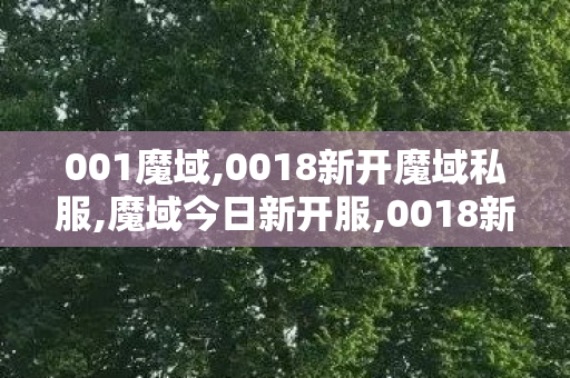 001魔域,0018新开魔域私服,魔域今日新开服,0018新开魔域私服