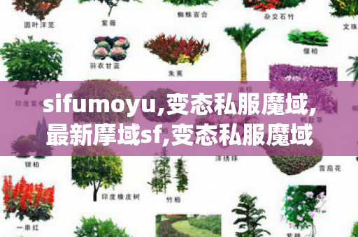 sifumoyu,变态私服魔域,最新摩域sf,变态私服魔域