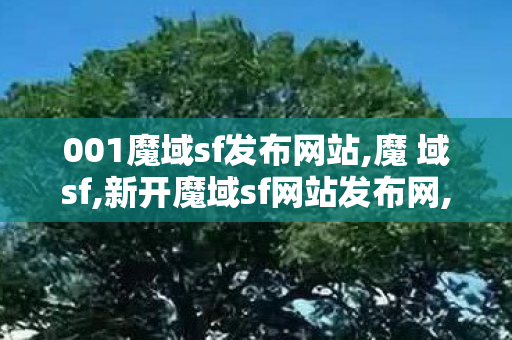 001魔域sf发布网站,魔 域sf,新开魔域sf网站发布网,魔 域sf