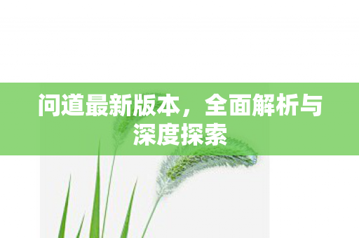 问道最新版本，全面解析与深度探索