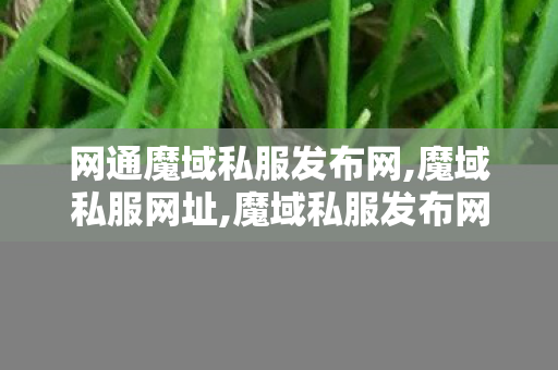 网通魔域私服发布网,魔域私服网址,魔域私服发布网350001,魔域私服网址