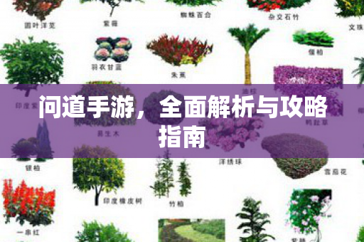 问道手游，全面解析与攻略指南