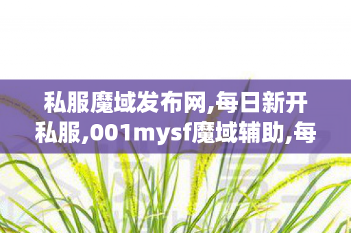 私服魔域发布网,每日新开私服,001mysf魔域辅助,每日新开私服