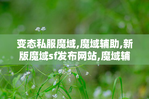 变态私服魔域,魔域辅助,新版魔域sf发布网站,魔域辅助