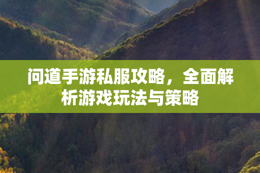 问道手游私服攻略，全面解析游戏玩法与策略