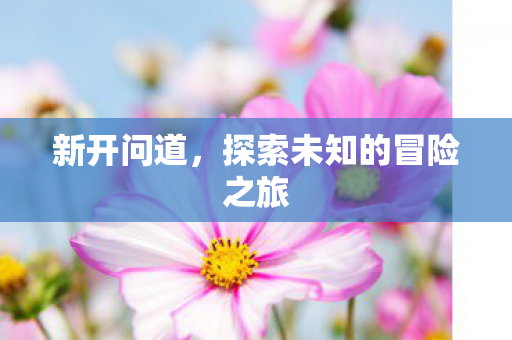 新开问道，探索未知的冒险之旅