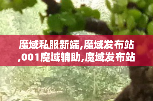 魔域私服新端,魔域发布站,001魔域辅助,魔域发布站