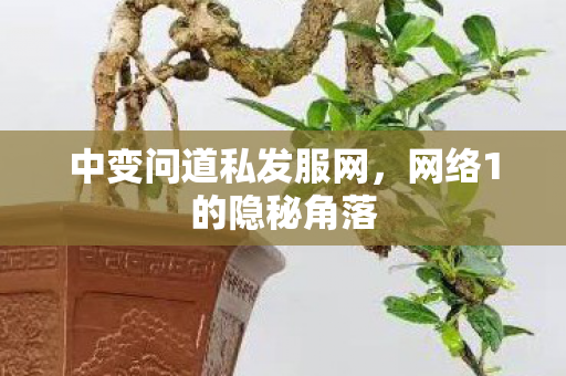 中变问道私发服网，网络1的隐秘角落