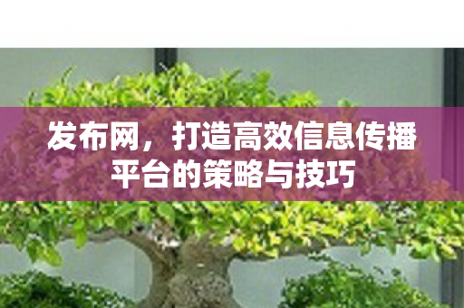 发布网，打造高效信息传播平台的策略与技巧
