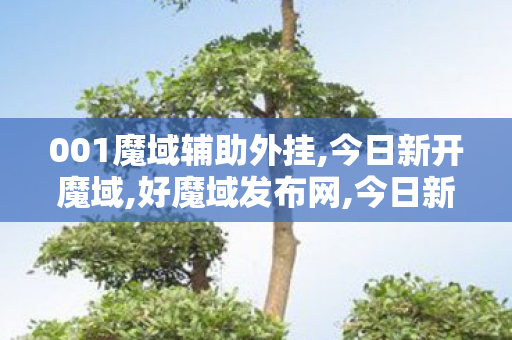 001魔域辅助外挂,今日新开魔域,好魔域发布网,今日新开魔域