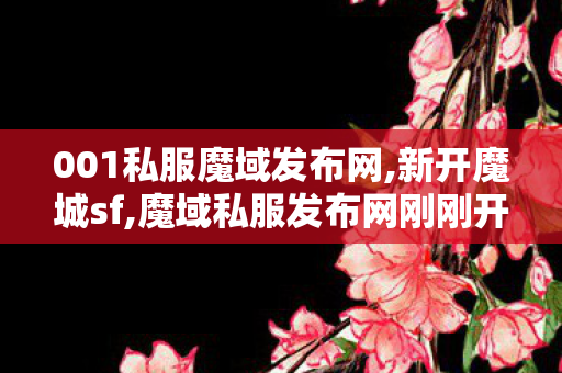 001私服魔域发布网,新开魔城sf,魔域私服发布网刚刚开一秒,新开魔城sf
