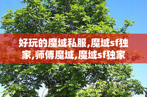 好玩的魔域私服,魔域sf独家,师傅魔域,魔域sf独家