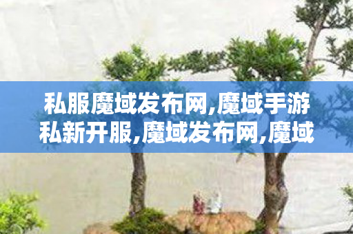 私服魔域发布网,魔域手游私新开服,魔域发布网,魔域手游私新开服