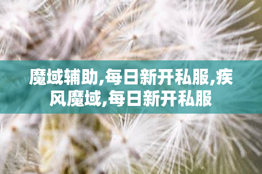 魔域辅助,每日新开私服,疾风魔域,每日新开私服