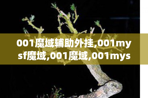 001魔域辅助外挂,001mysf魔域,001魔域,001mysf魔域