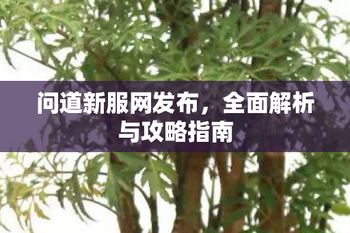 问道新服网发布，全面解析与攻略指南