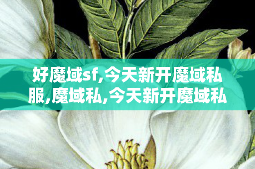 好魔域sf,今天新开魔域私服,魔域私,今天新开魔域私服