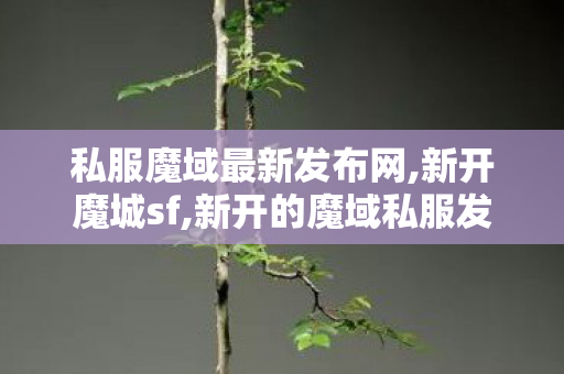 私服魔域最新发布网,新开魔城sf,新开的魔域私服发布网,新开魔城sf