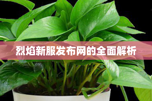 烈焰新服发布网的全面解析