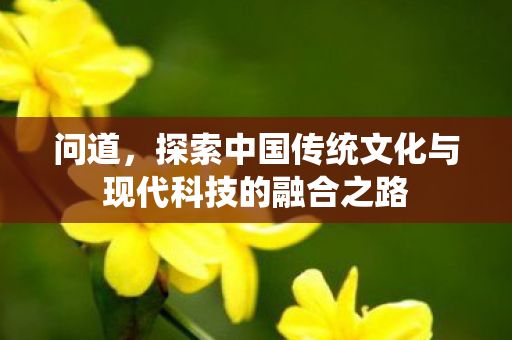 问道，探索中国传统文化与现代科技的融合之路