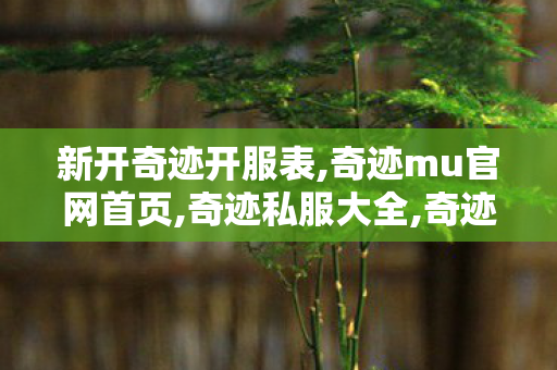 新开奇迹开服表,奇迹mu官网首页,奇迹私服大全,奇迹mu官网首页