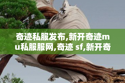 奇迹私服发布,新开奇迹mu私服服网,奇迹 sf,新开奇迹mu私服服网