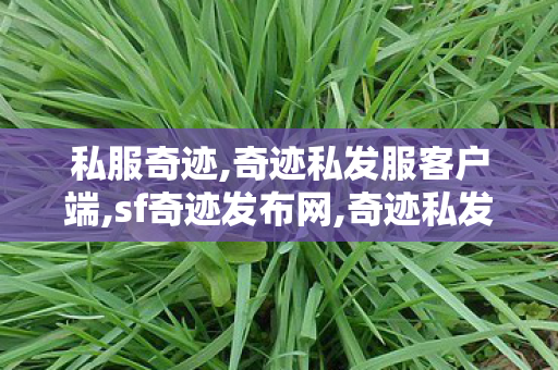 私服奇迹,奇迹私发服客户端,sf奇迹发布网,奇迹私发服客户端
