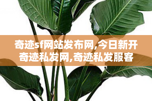 奇迹sf网站发布网,今日新开奇迹私发网,奇迹私发服客户端,今日新开奇迹私发网